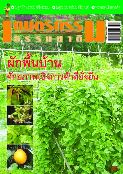 ฉบับที่ 12/2552 
