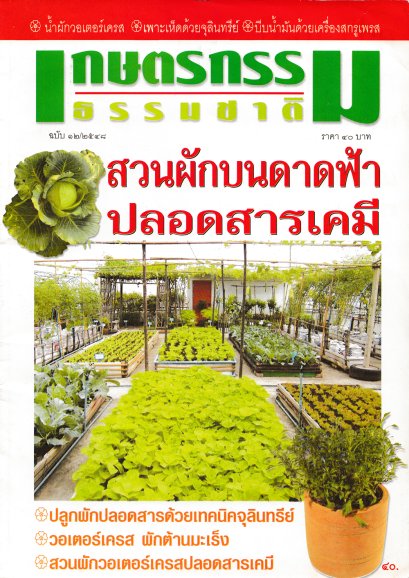ฉบับที่ 12/2548  