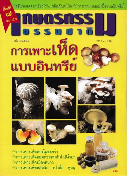 ฉบับที่ 1/2547