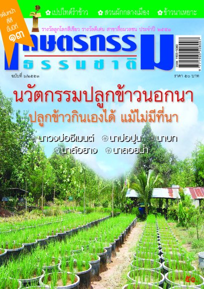 ฉบับที่ 6/2553 