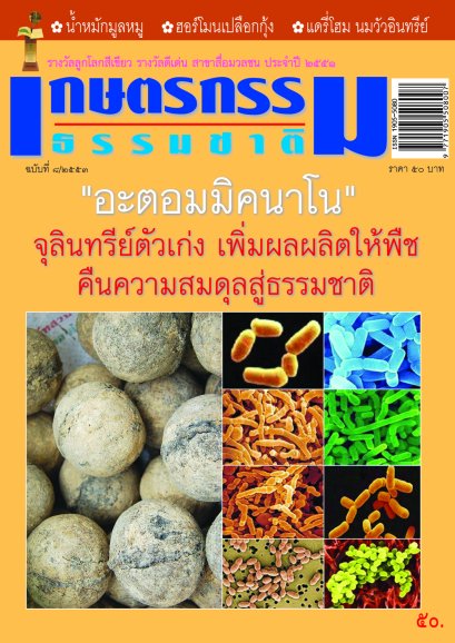 ฉบับที่ 8/2553 