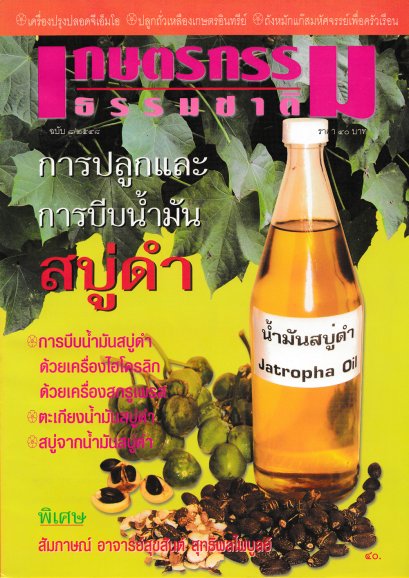 ฉบับที่ 8/2548