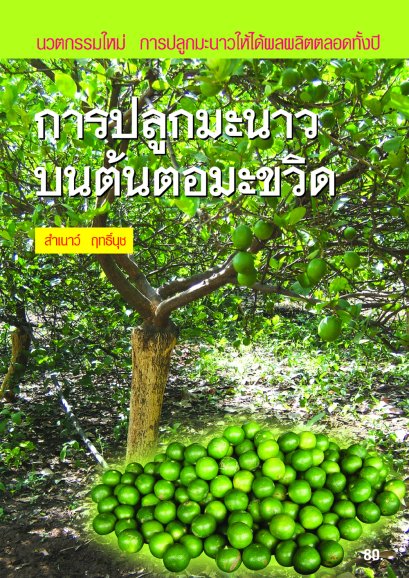 การปลูกมะนาวบนต้นตอมะขวิด 