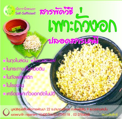 CD สารพัดวิธีเพาะถั่วงอก