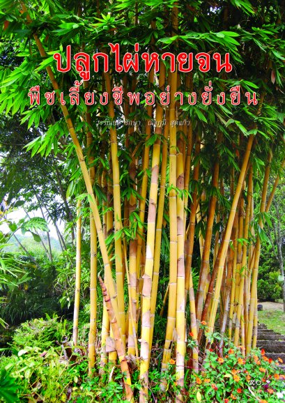 ปลูกไผ่หายจน พืชเลี้ยงชีพอย่างยั่งยืน