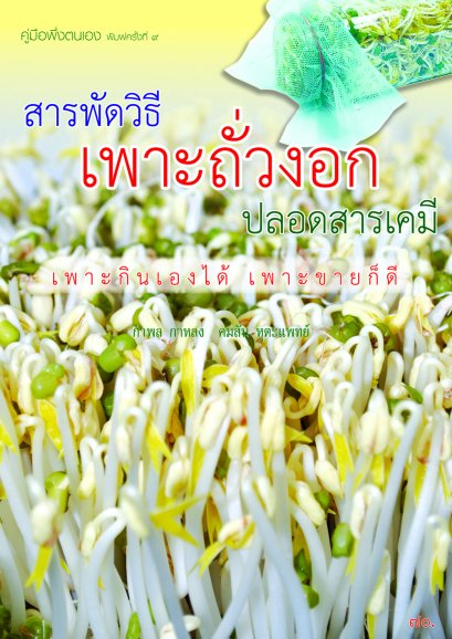 สารพัดวิธีเพาะถั่วงอกปลอดสารเคมี