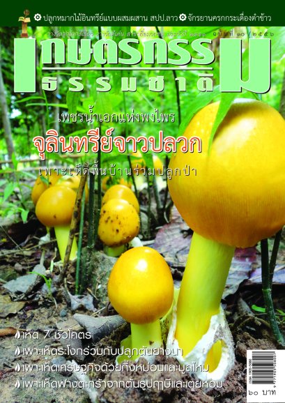 ฉบับที่ 10/2556  