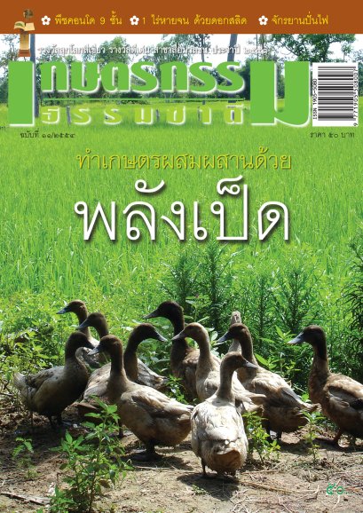 ฉบับที่ 11/2554 