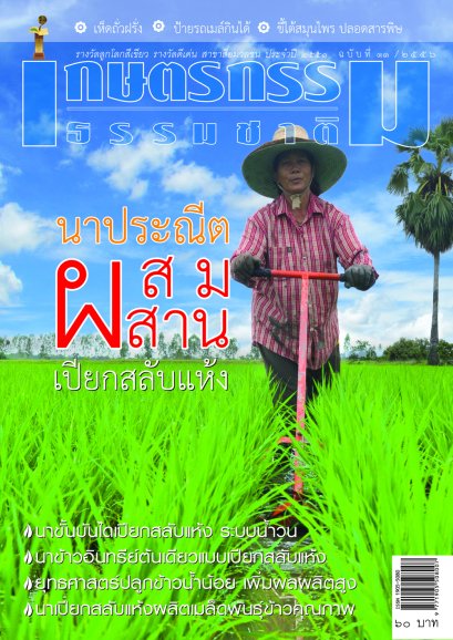 ฉบับที่ 11/2556 