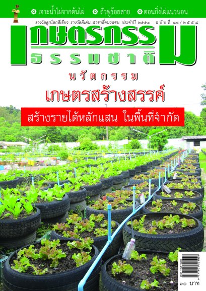 ฉบับที่ 11/2558  