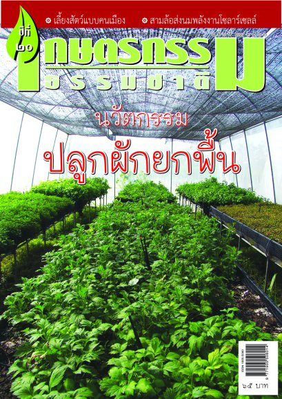 ฉบับที่ 11/2560 