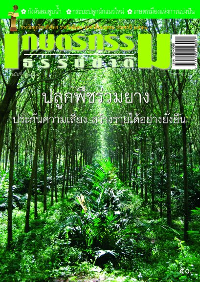 ฉบับที่ 7/2554 