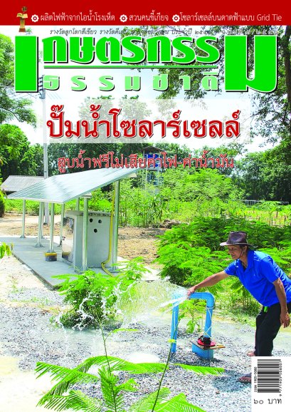 ฉบับที่ 7/2558  