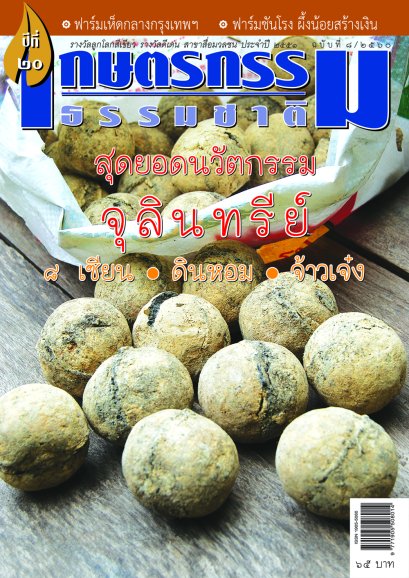 ฉบับที่ 8/2560 