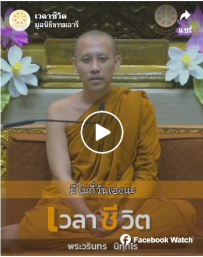 เวลาชีวิต