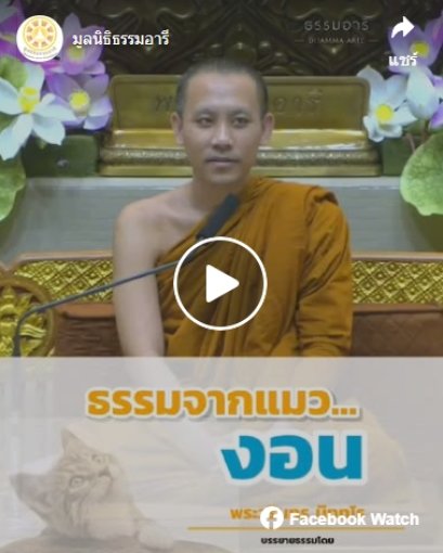 ธรรมะจากแมว