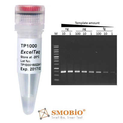 5 Loading Buffer SDS-PAGE Protein Loading Buffer 5X (Reducing) - smartscience