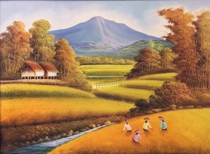 Rice Terrace in Bali (1)