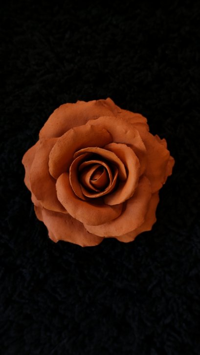 Fragrant Clay Rose - Brown Color