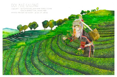 BMK Postcard (Doi Mae Salong)