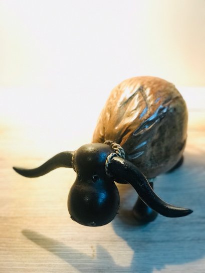 Coconut shell - Buffalo