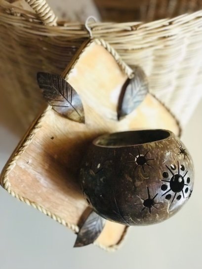 Flower pot by coconut shell (hanger)
