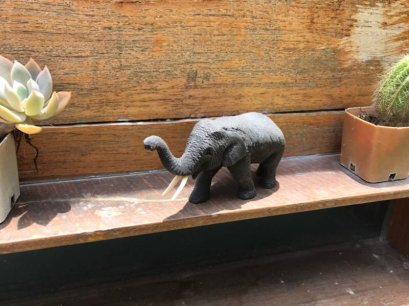 Wooden carving - Elephant
