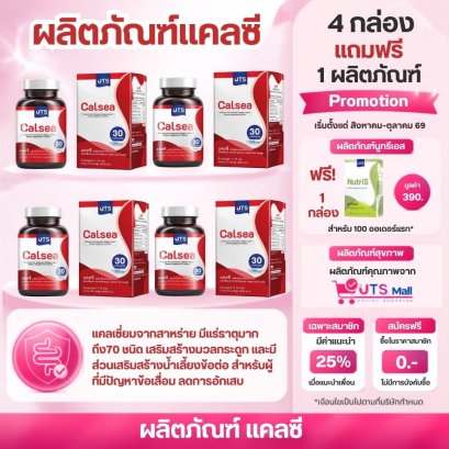 แคลซี  Calsea