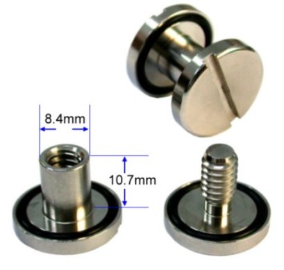 Bolt Screw Stainless 304 Backplate ZeePro