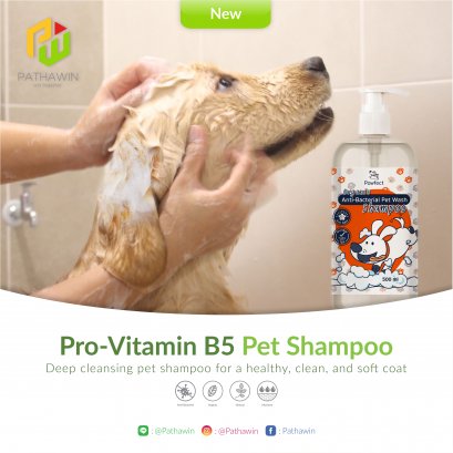 Pro-Vitamin B5 Pet Shampoo