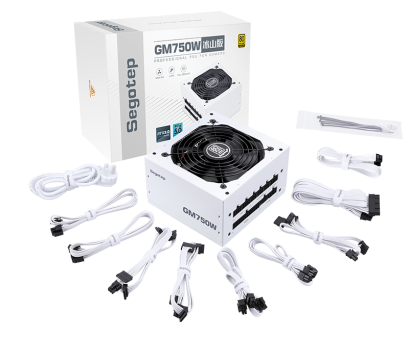 SEGOTEP GM750W ATX 3.1 PCIe 5.1 - 750W 80 PLUS GOLD FULL MODULAR (White)