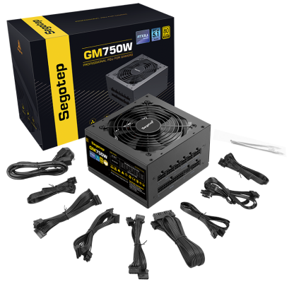 SEGOTEP GM750W ATX 3.1 PCIe 5.1 - 750W 80 PLUS GOLD FULL MODULAR (BLACK)
