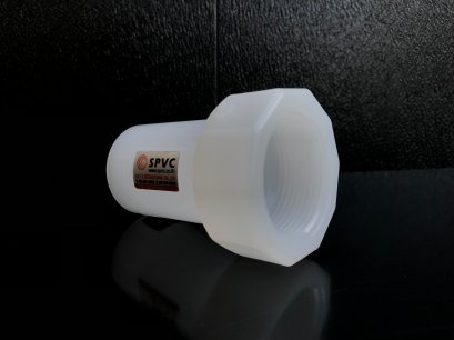 เกลียวในพีวีดีเอฟ Female PVDF