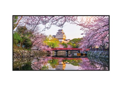 Digital Signage 18/7 Hisense 50GM50D