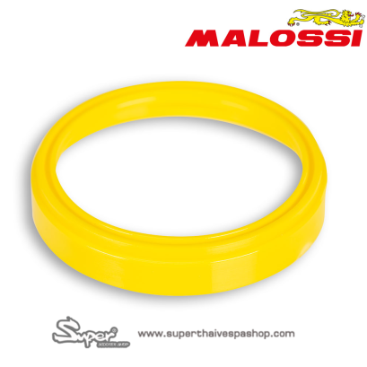 THE MALOSSI TORSION CONTROLLER 