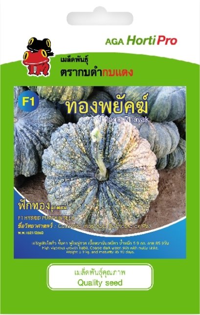 เมล็ดฟักทอง ทองพยัคฆ์ ซ.2 g.