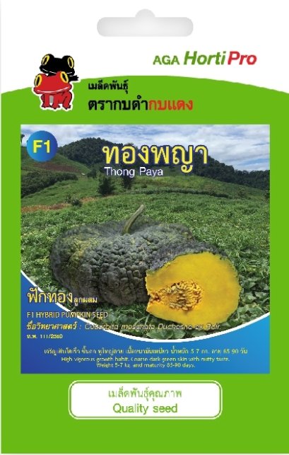 เมล็ดฟักทอง ทองพญา ซ. 2g