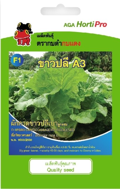 เมล็ดผักกาดขาวปลีเบา A3 ซ.1 g.