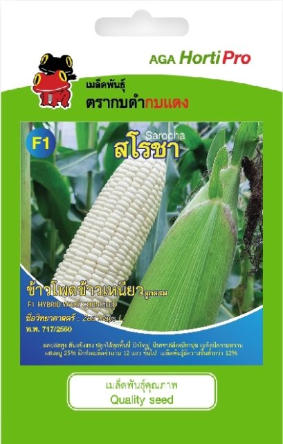 เมล็ดข้าวโพดข้าวเหนียว สโรชา ซ.10g