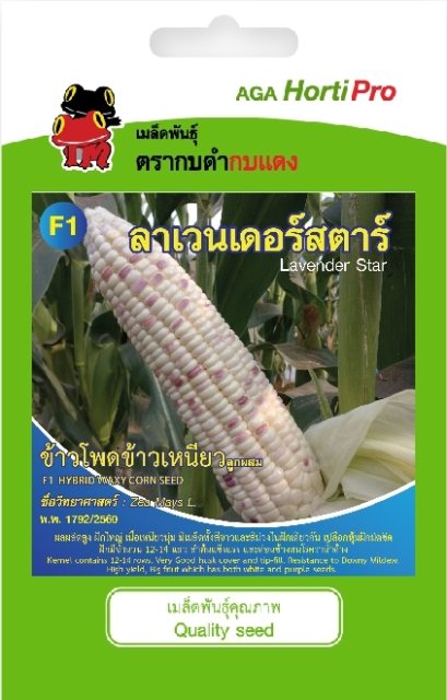 เมล็ดข้าวโพดข้าวเหนียว ลาเวนเดอร์สตาร์ ซ.10 g.