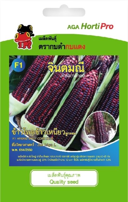 เมล็ดข้าวโพดข้าวเหนียว จินตมณี ซ.10g