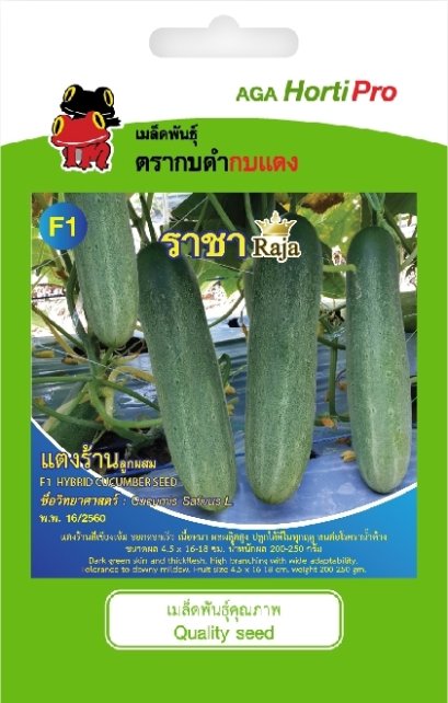 เมล็ดแตงร้าน ราชา ขนาดบรรจุ ซอง 1 กรัม