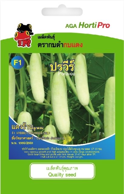 เมล็ดแตงร้าน ปรวีร์ ซ. 1 g.