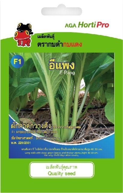 เมล็ดเขียวกวางตุ้ง อีแพง 10 g.