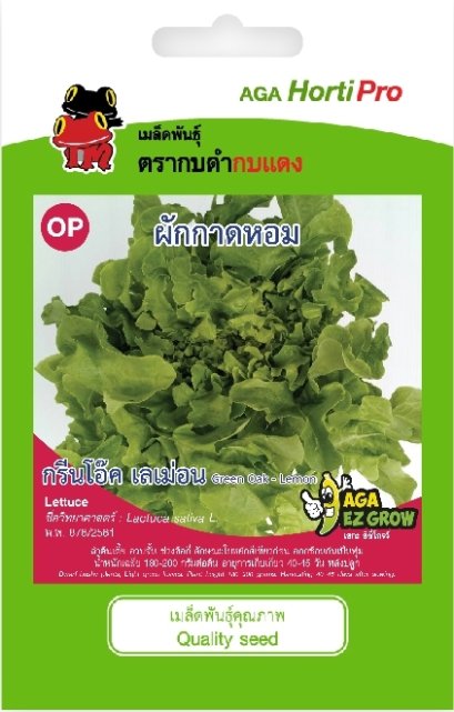 เมล็ดผักสลัด กรีนโอ๊ค เลม่อน
