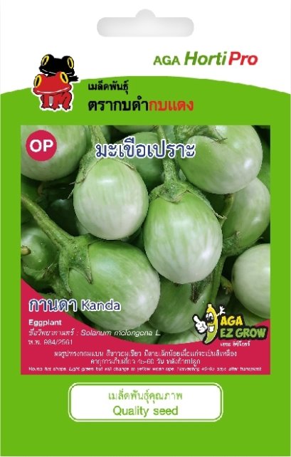 เมล็ดมะเขือเปราะ กานดา บรรจุซอง 0.5 กรัม