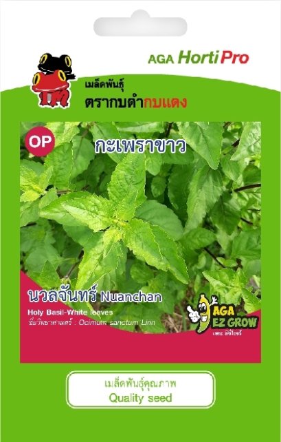 เมล็ดกะเพราขาว นวลจันทร์ ซ. 0.5 g.