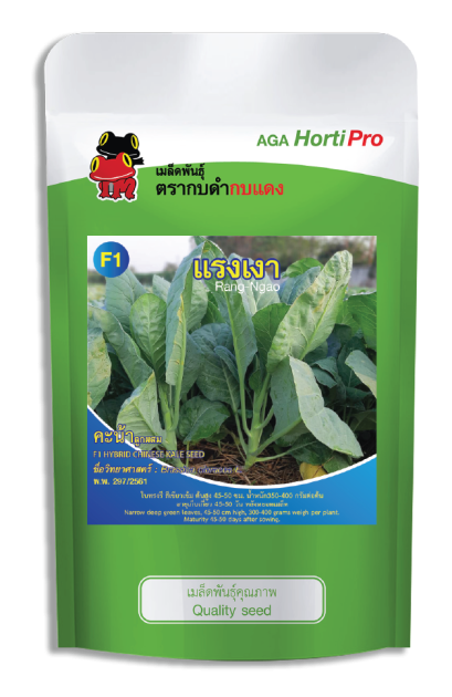 เมล็ดคะน้า แรงเงา ซอง 50 g.