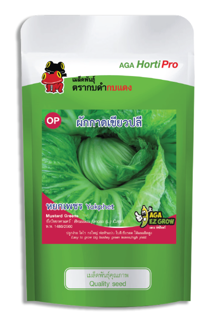 เมล็ดผักกาดเขียวปลี หยกเพชร ซอง 100 g