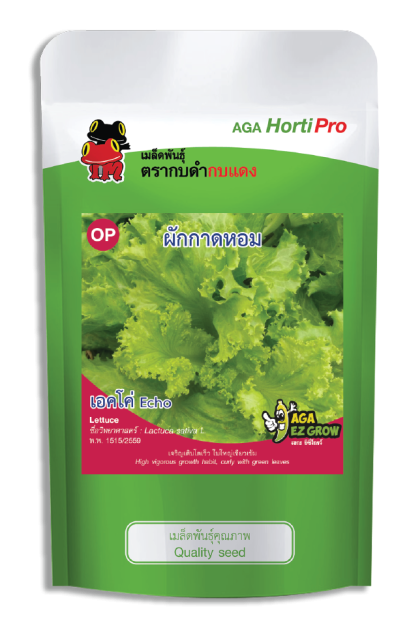 เมล็ดผักกาดหอม เอคโค่ ซอง 50 g.